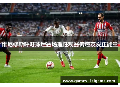 维尼修斯呼吁球迷赛场理性观赛传递友爱正能量