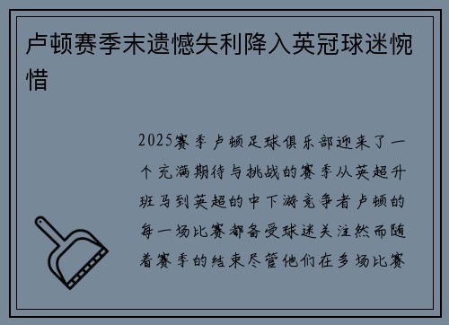 卢顿赛季末遗憾失利降入英冠球迷惋惜