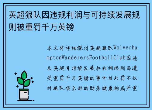 英超狼队因违规利润与可持续发展规则被重罚千万英镑